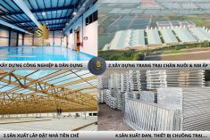 LĨNH VỰC CHÍNH CỦA SHINCON COMPANY