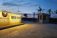 NHẬT KÝ CÔNG TRÌNH GIAI ĐOẠN 1 (10/2020 - 11/2025)