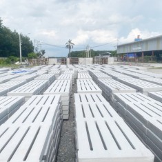 ĐAN BÊ TÔNG SHINCON 