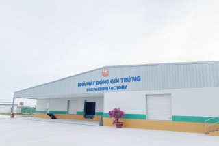 KHU CHĂN NUÔI GÀ ĐẺ TRỨNG CNC MEBI FARM_BÌNH THUẬN