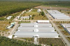 DỰ ÁN XÂY DỰNG VÀ LẮP ĐẶT TRẠI GÀ C.P BENJA