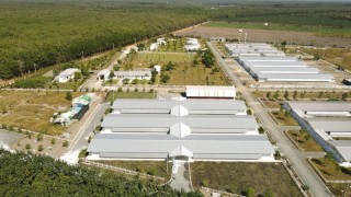 DỰ ÁN XÂY DỰNG VÀ LẮP ĐẶT TRẠI GÀ C.P BENJA