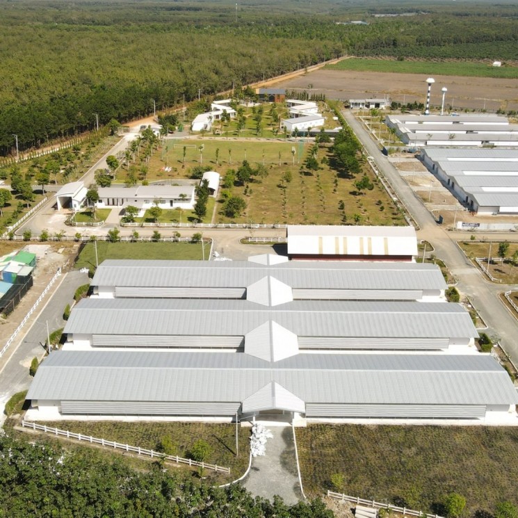 DỰ ÁN XÂY DỰNG VÀ LẮP ĐẶT TRẠI GÀ C.P BENJA