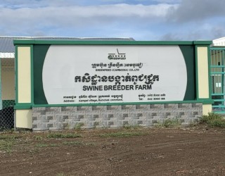 DỰ ÁN TRẠI HEO GIỐNG GREENFEED CAMBODIA