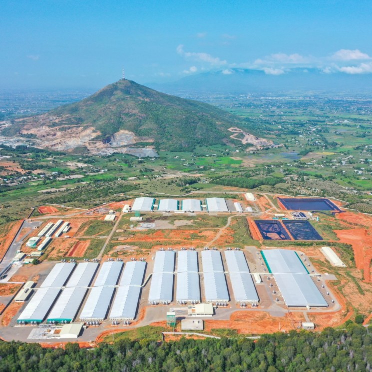 TRANG TRẠI CHĂN NUÔI HEO CÔNG NGHỆ CAO LÀNG VIỆT NAM